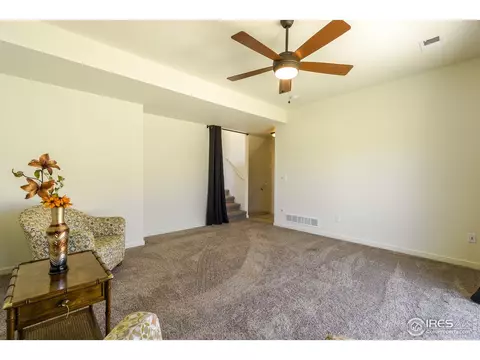 960 Mouflon Dr, Severance, CO 80550 photo 12