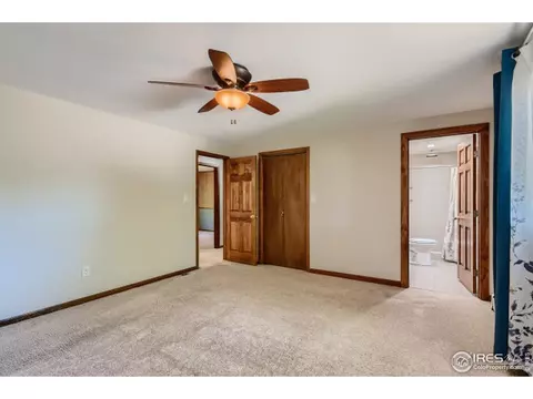 230 Laurel Ct, Windsor, CO 80550 photo 19