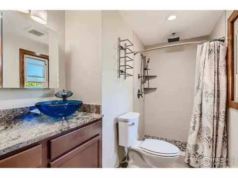 230 Laurel Ct, Windsor, CO 80550 photo 20