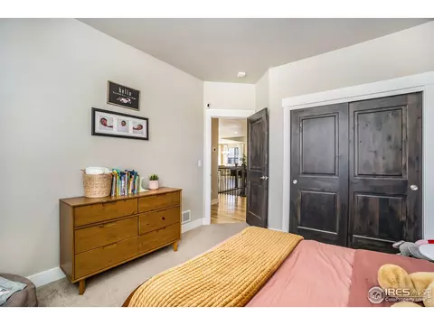 6085 Carmon Dr, Windsor, CO 80550 photo 18