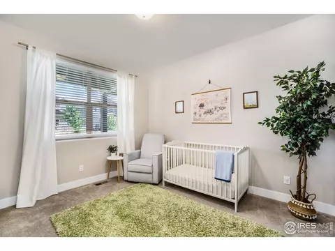 6085 Carmon Dr, Windsor, CO 80550 photo 16