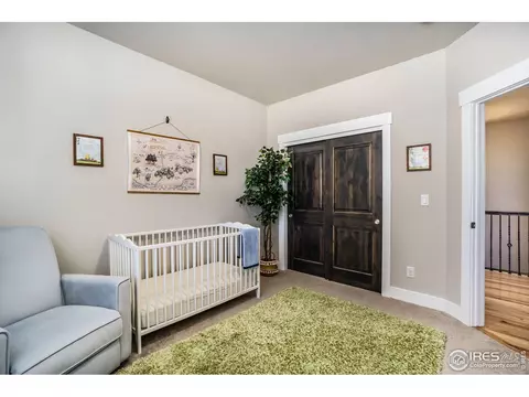 6085 Carmon Dr, Windsor, CO 80550 photo 15