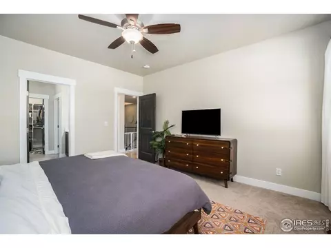 6085 Carmon Dr, Windsor, CO 80550 photo 13
