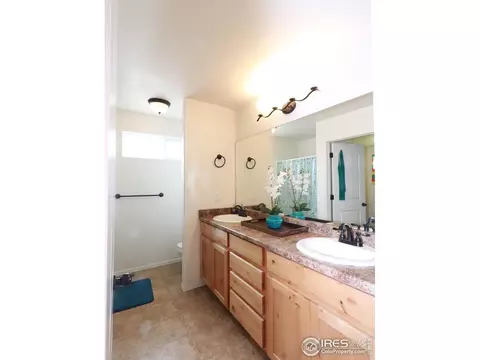 847 Sunlight Peak Dr, Windsor, CO 80550 photo 11