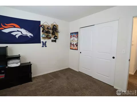 847 Sunlight Peak Dr, Windsor, CO 80550 photo 14