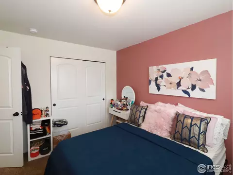 847 Sunlight Peak Dr, Windsor, CO 80550 photo 17
