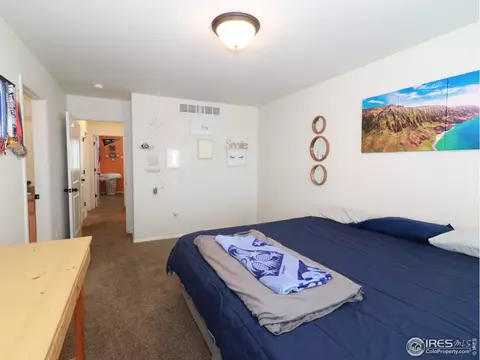 847 Sunlight Peak Dr, Windsor, CO 80550 photo 10