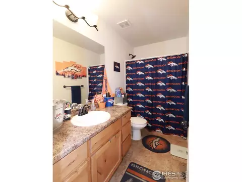 847 Sunlight Peak Dr, Windsor, CO 80550 photo 15