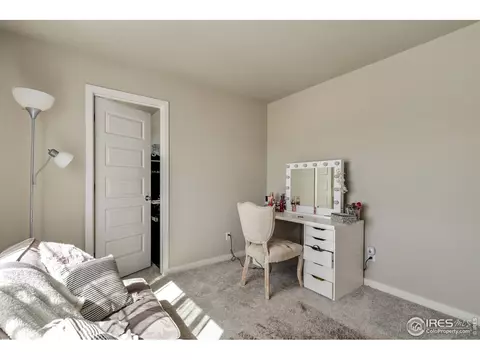 3000 Canvasback Ct, Evans, CO 80620 photo 31