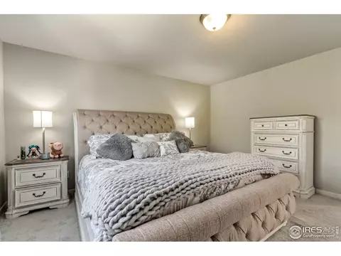 3000 Canvasback Ct, Evans, CO 80620 photo 21