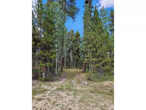 67 Rye Ct, Fairplay, CO 80440