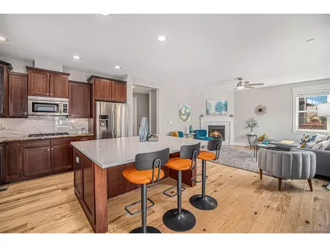 3375 N Willow St, Denver, CO 80238 photo 7