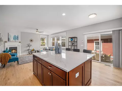 3375 N Willow St, Denver, CO 80238 photo 6