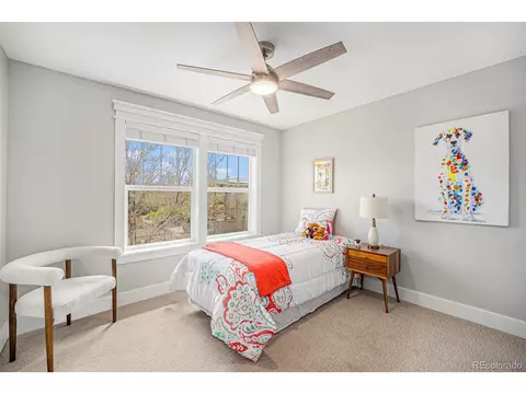 3375 N Willow St, Denver, CO 80238 photo 22