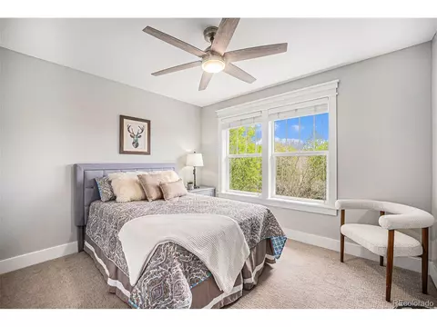 3375 N Willow St, Denver, CO 80238 photo 20