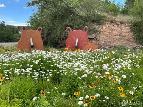 20 Eagle Nest Ln, Lyons, CO 80540 photo 36