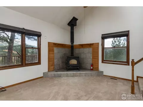 246 Arrowood Dr, Allenspark, CO 80510 photo 6