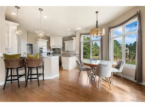10102 Prestwick Trl, Lone Tree, CO 80124 photo 19