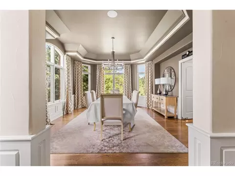10102 Prestwick Trl, Lone Tree, CO 80124 photo 17