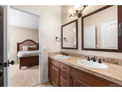 10102 Prestwick Trl, Lone Tree, CO 80124 photo 34