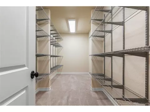10102 Prestwick Trl, Lone Tree, CO 80124 photo 30