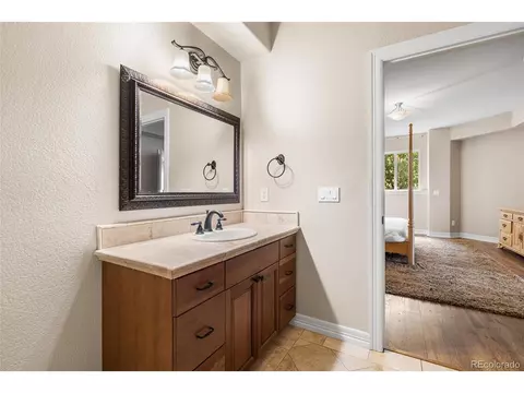 10102 Prestwick Trl, Lone Tree, CO 80124 photo 26