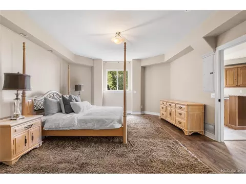 10102 Prestwick Trl, Lone Tree, CO 80124 photo 27
