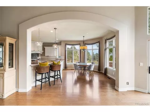 10102 Prestwick Trl, Lone Tree, CO 80124 photo 25