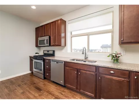 10154 Belvedere Loop, Lone Tree, CO 80124 photo 7