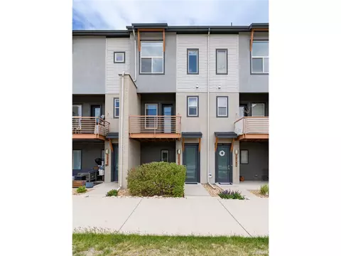 10154 Belvedere Loop, Lone Tree, CO 80124 photo 37