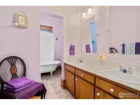 401 Oak St, Windsor, CO 80550 photo 14