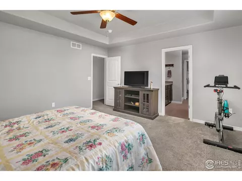 1513 Cirque Valley Ln, Severance, CO 80550 photo 14