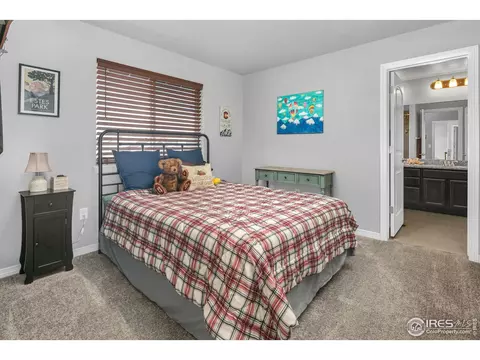 1513 Cirque Valley Ln, Severance, CO 80550 photo 20