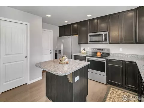 1513 Cirque Valley Ln, Severance, CO 80550 photo 10