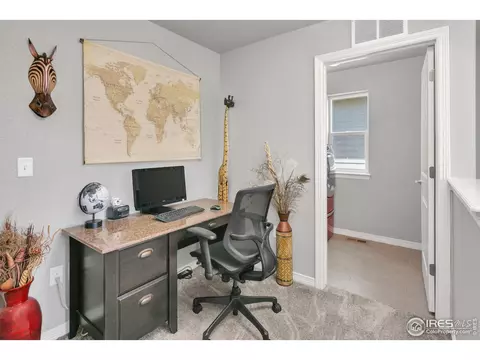 1513 Cirque Valley Ln, Severance, CO 80550 photo 12