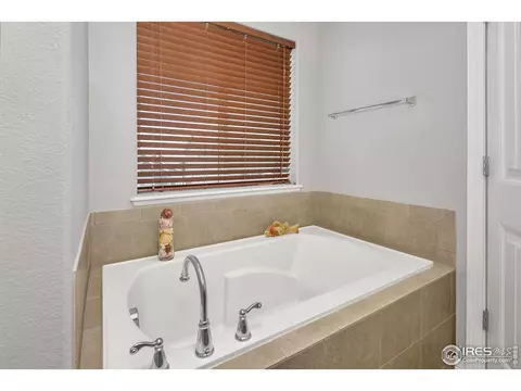 1513 Cirque Valley Ln, Severance, CO 80550 photo 16