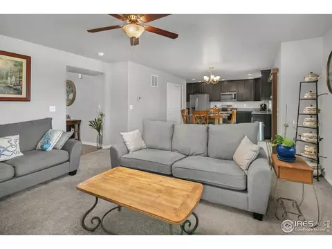 1513 Cirque Valley Ln, Severance, CO 80550 photo 7