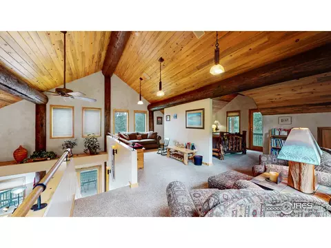 399 Taylor Rd, Lyons, CO 80540 photo 16