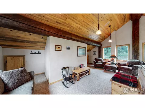 399 Taylor Rd, Lyons, CO 80540 photo 20
