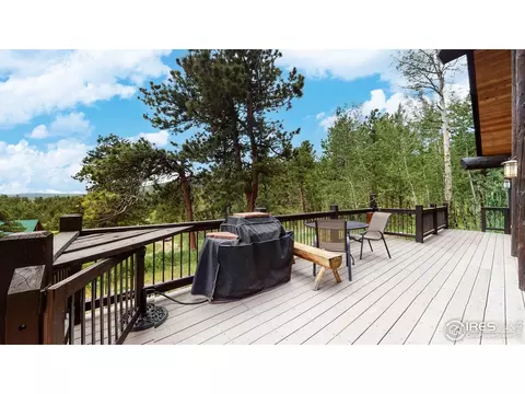 399 Taylor Rd, Lyons, CO 80540 photo 28