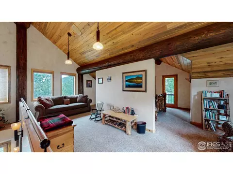 399 Taylor Rd, Lyons, CO 80540 photo 17