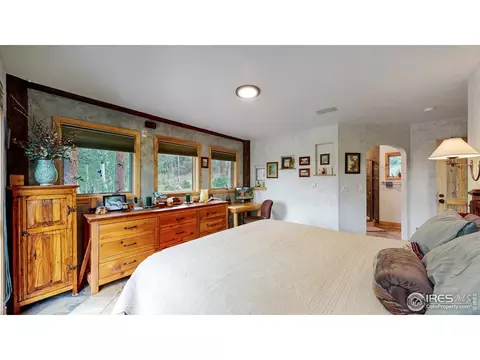 399 Taylor Rd, Lyons, CO 80540 photo 11