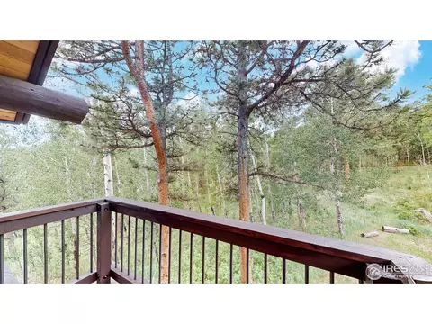 399 Taylor Rd, Lyons, CO 80540 photo 26