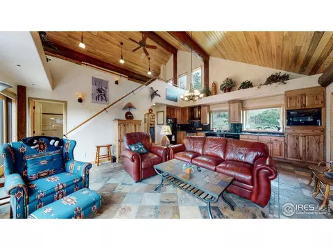 399 Taylor Rd, Lyons, CO 80540 photo 4
