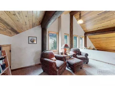 399 Taylor Rd, Lyons, CO 80540 photo 18