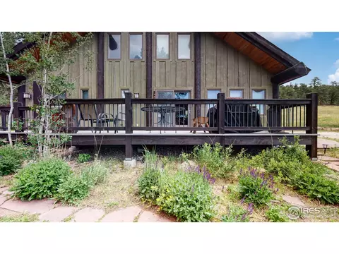 399 Taylor Rd, Lyons, CO 80540 photo 27