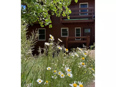 41 Poplar Cir, Silverthorne, CO 80498