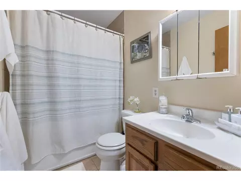 Bath - 41 Poplar Cir, Silverthorne, CO 80498 photo 2 of 3