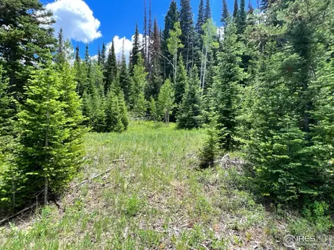 Golden Eagle Lane, Walden, CO 80480