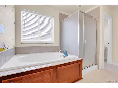 Bath - 3310 Quicksilver Rd, Frederick, CO 80516 photo 4 of 6